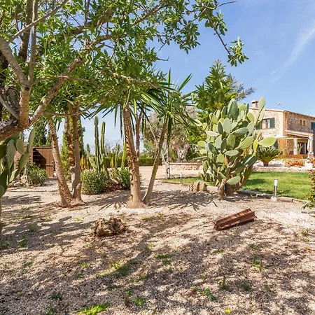 Alfabia Holiday home